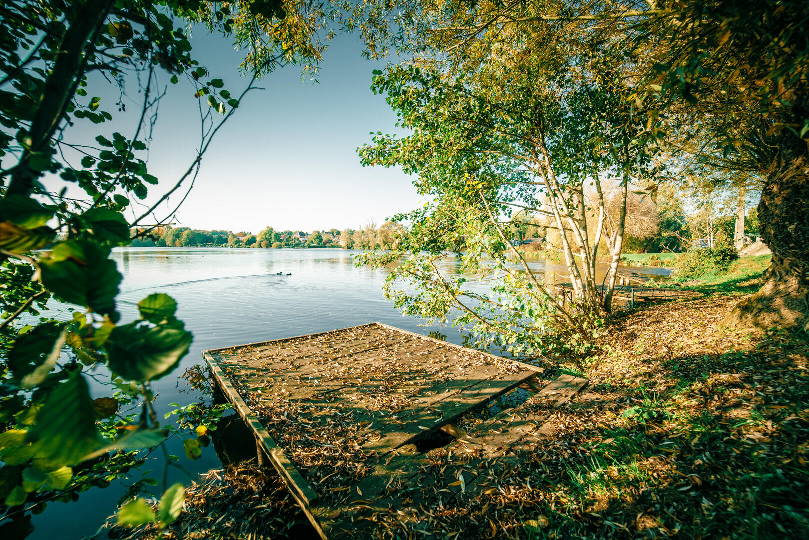 ClrysurSommeClrysurSomme-11