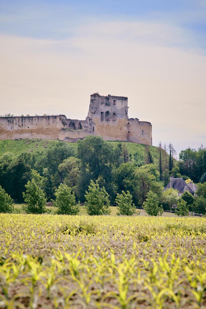 CoucyleChteauAuffriqueCoucyleChteauAuffrique148