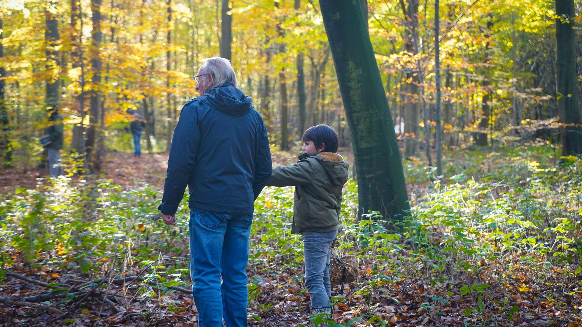 Sortie champignon en famille_foret d'halatte