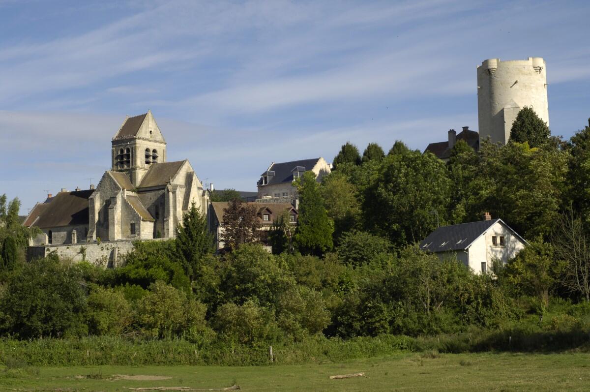 Donjon de Droizy