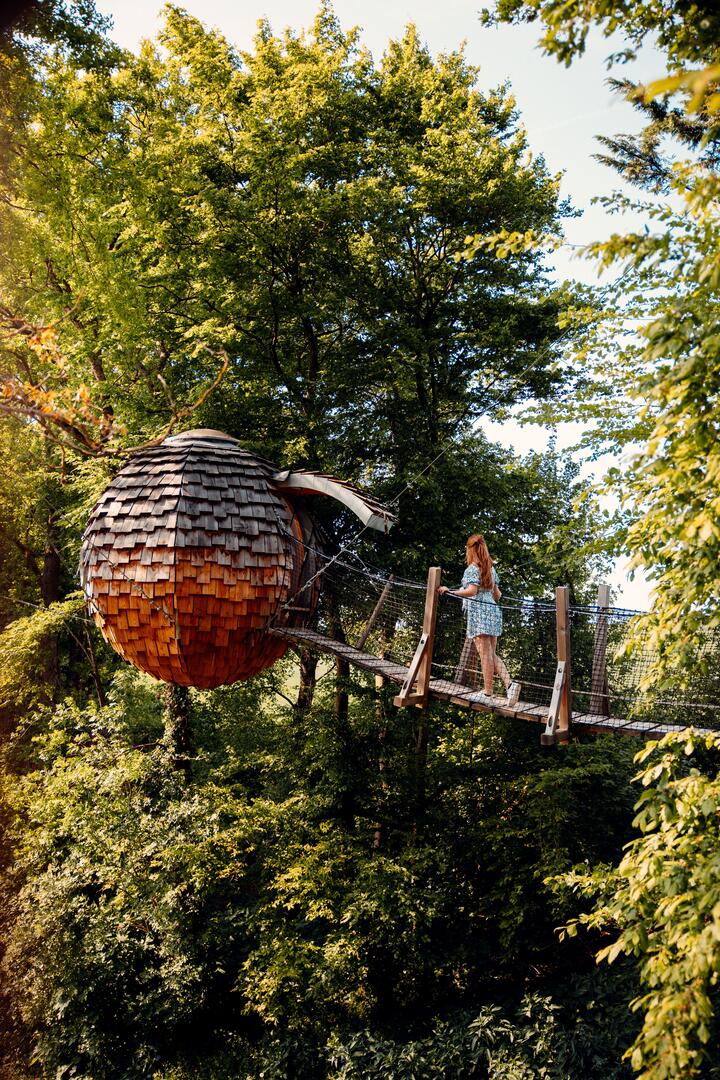 Etoilé cocoon Bois de Rosoy crédit - Elsa et Cyril Mai 2022 (1)