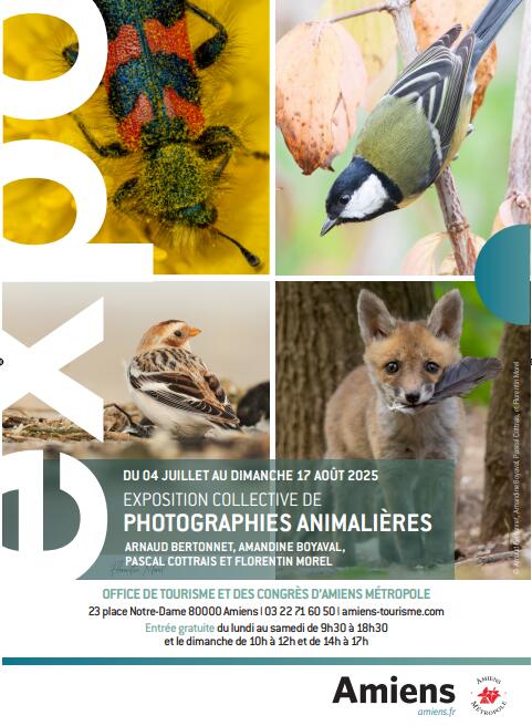 Exposition collective photographiques animalières