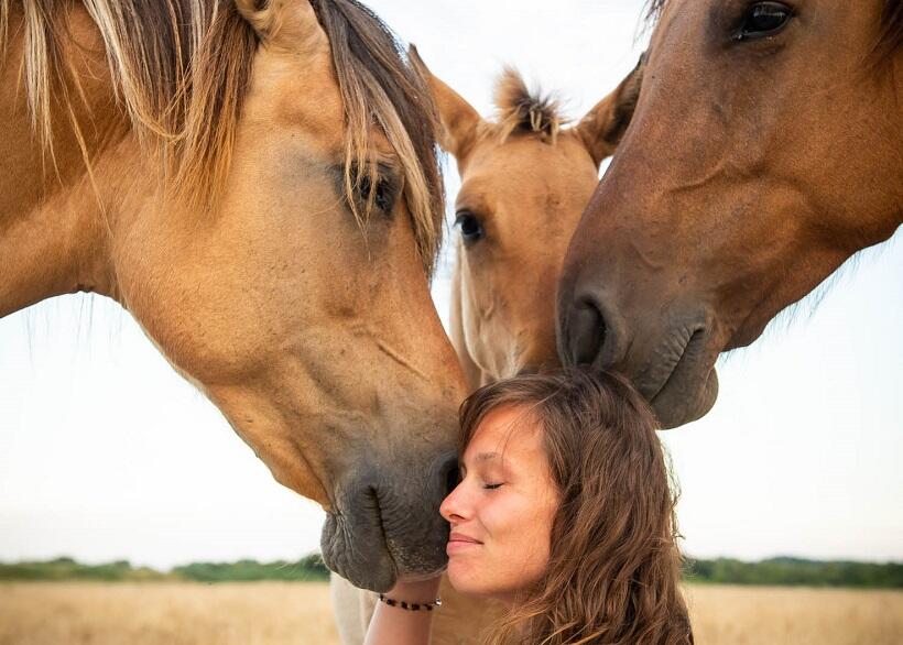 Espace Equestre Henson 2