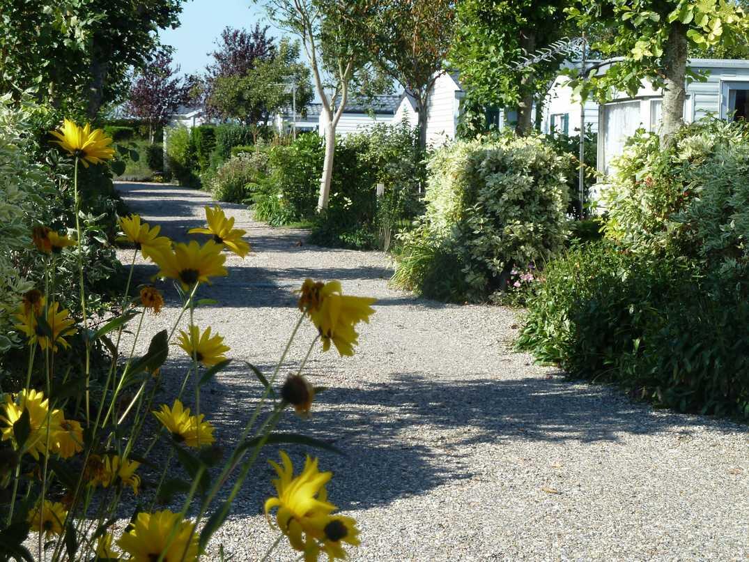 La Côte Picarde_allée_Le Crotoy_Somme_Picardie
