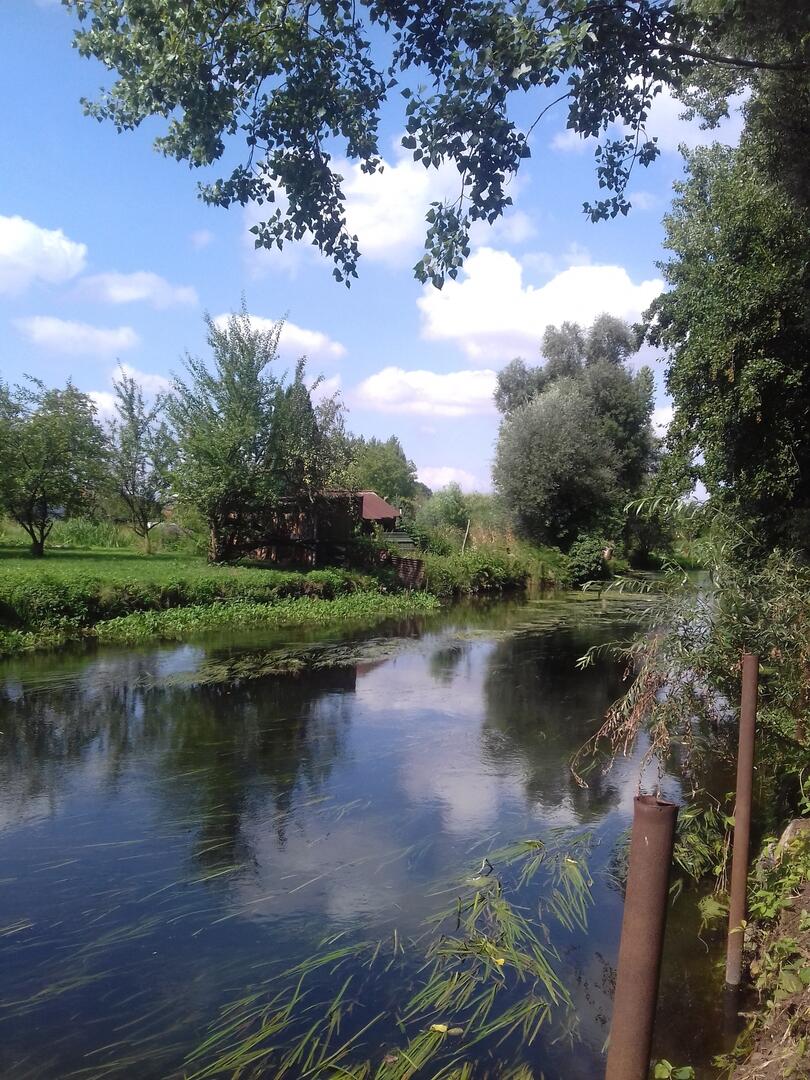 Hardines de Ham_Crédit OTHS