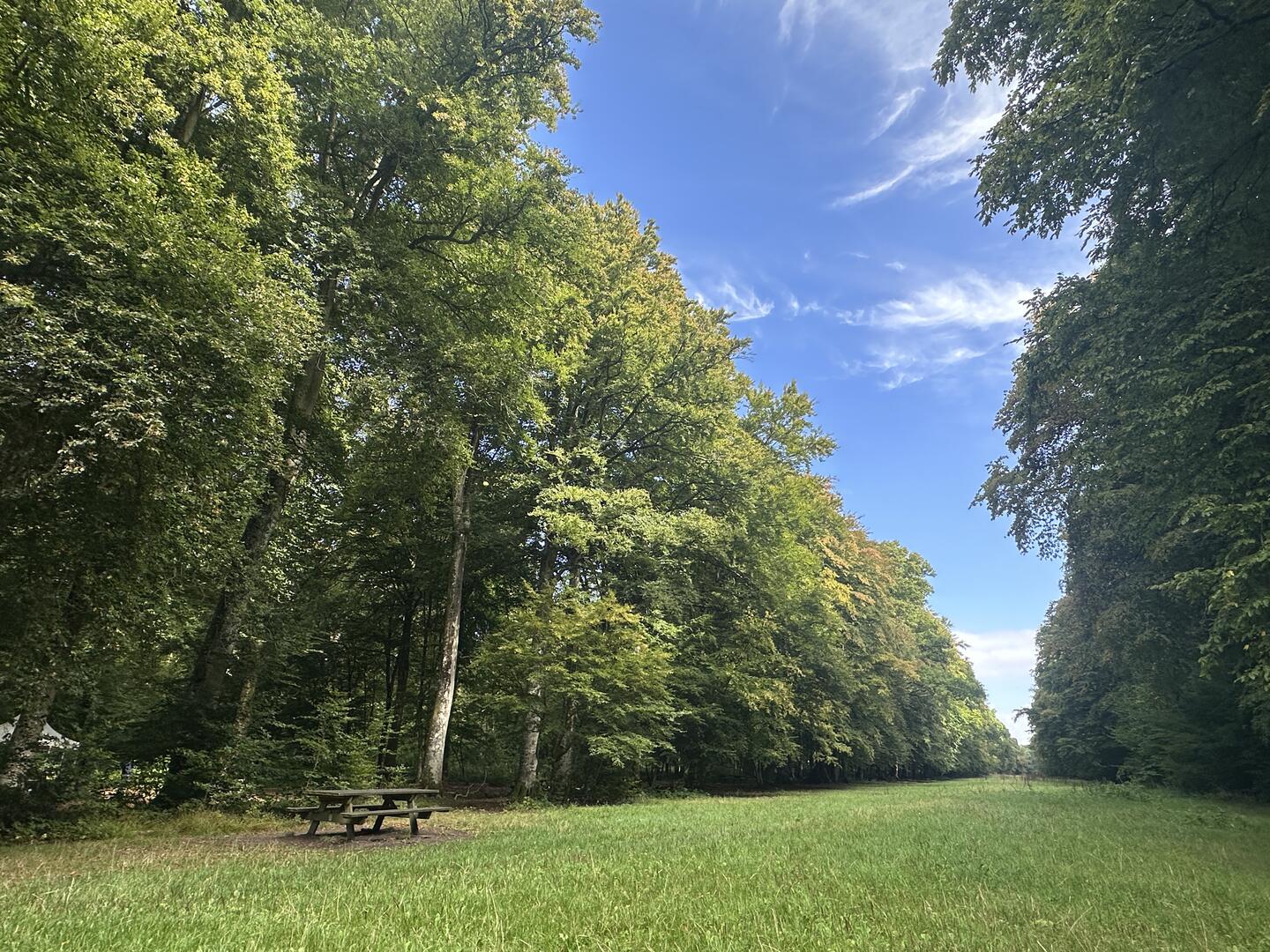 Forêt de Crécy