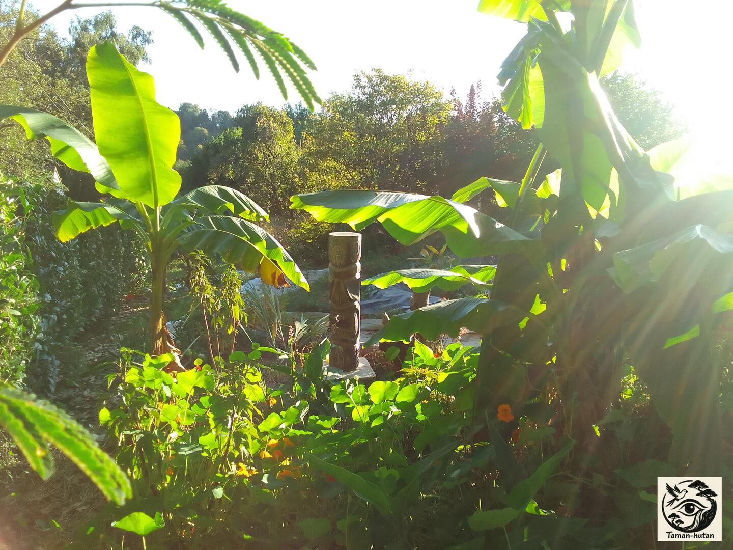 IMG_20250824_081859[2]