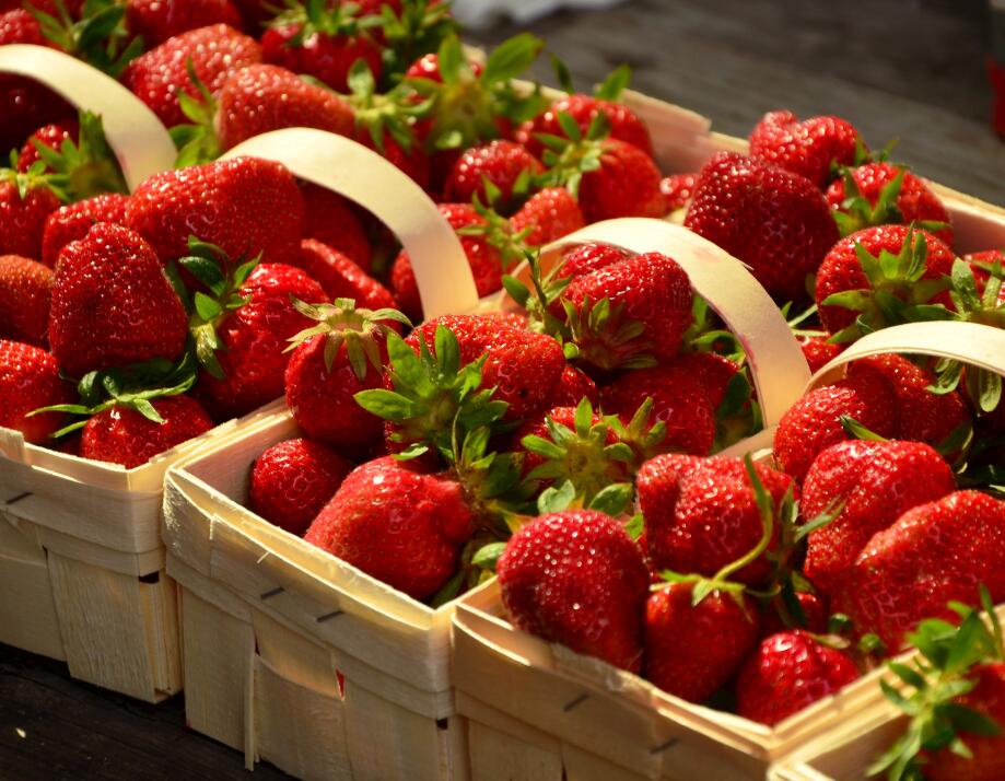 Fraises 01