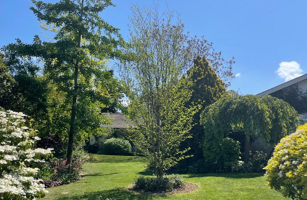 Jardin Baume et Bonheur©V.Armbruster