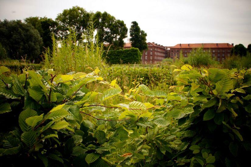 Jardin de la Presqu'ile < Familistère < Guise < Thiérache < Aisne < Picardie < Hauts de France