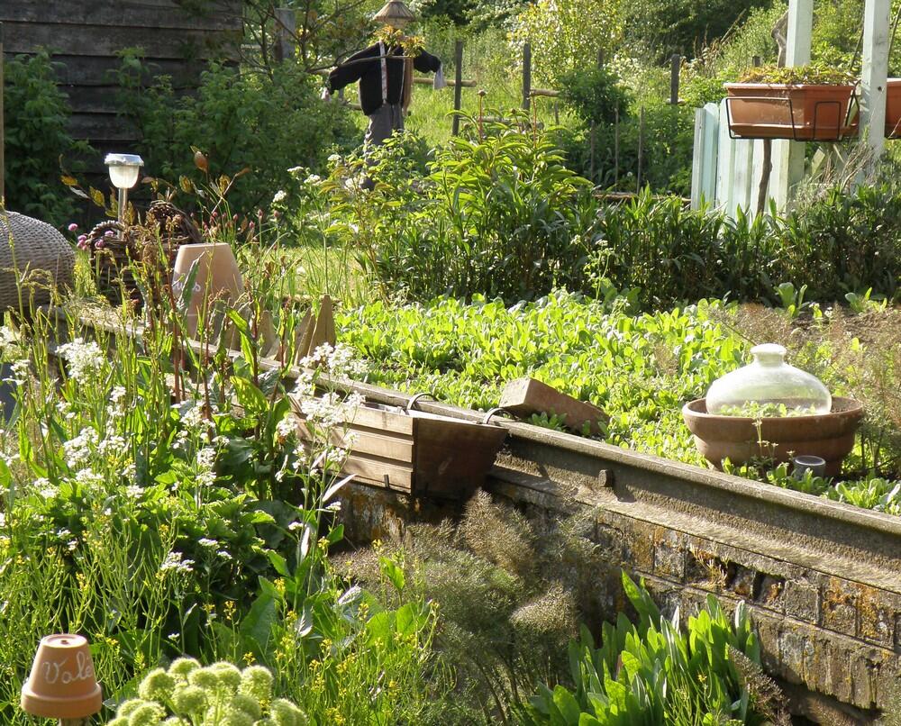 Au Jardin d'Hélène < Proisy < Thiérache < Aisne < Hauts de France