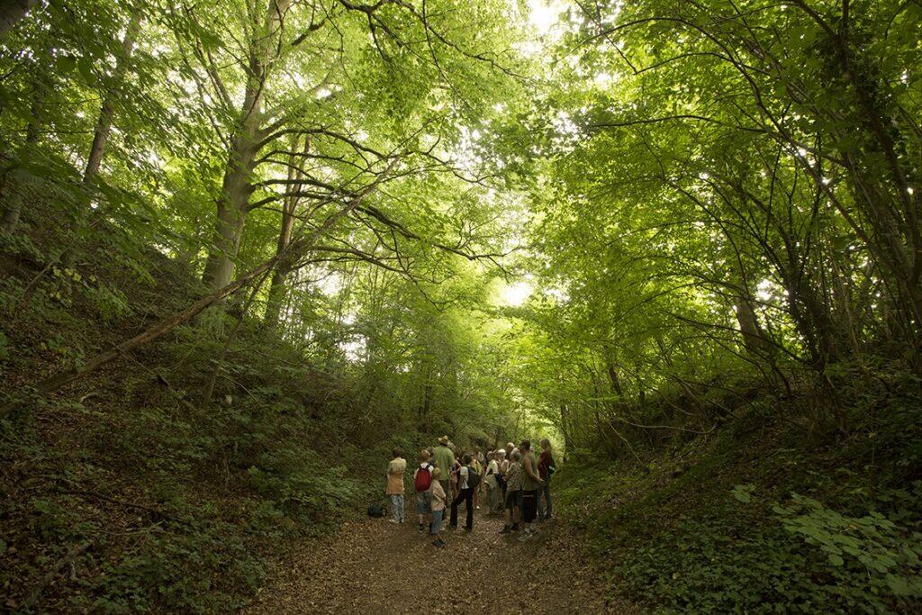 Festival des Forêts I En chemin avec Raphaël Feuillâtre & Aurélien Pascal