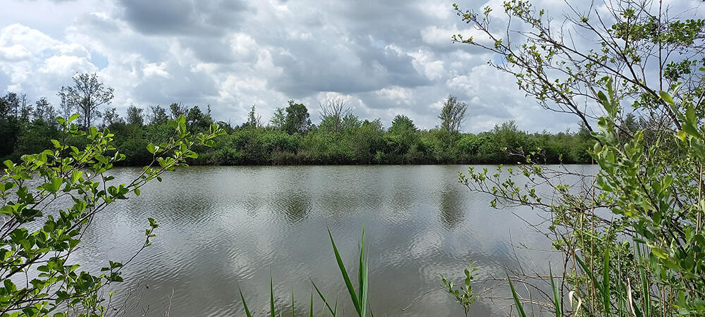 Sortie nature libellules < Liesse-Notre-Dame < Aisne < Hauts-de-France