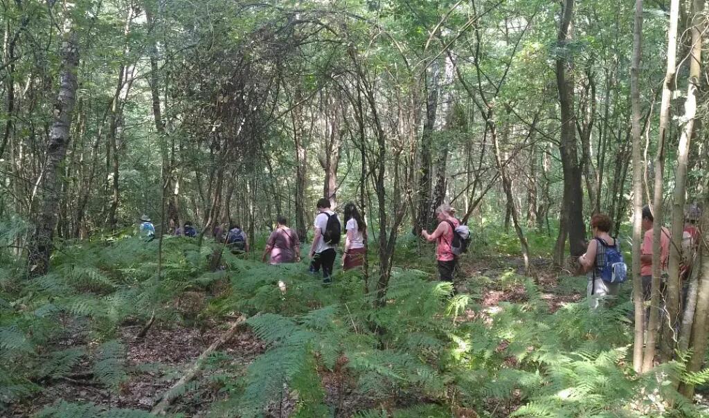 Le-Bois-des-Coutumes_Allonne_E.Domzal-rja3r9kmziyk9s3calpqgsc4qpohnkel1piys86bh4