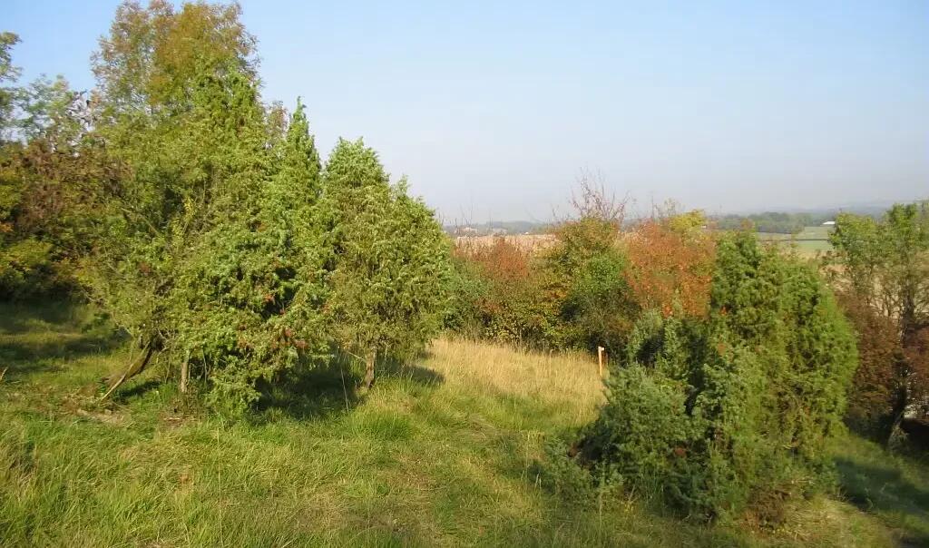 Les-larris-dAuteuil-V.Garnero-CEN-Hauts-de-France--rja3rmqdn7gksbk85reifp0l23vmnbutrinri3mt20