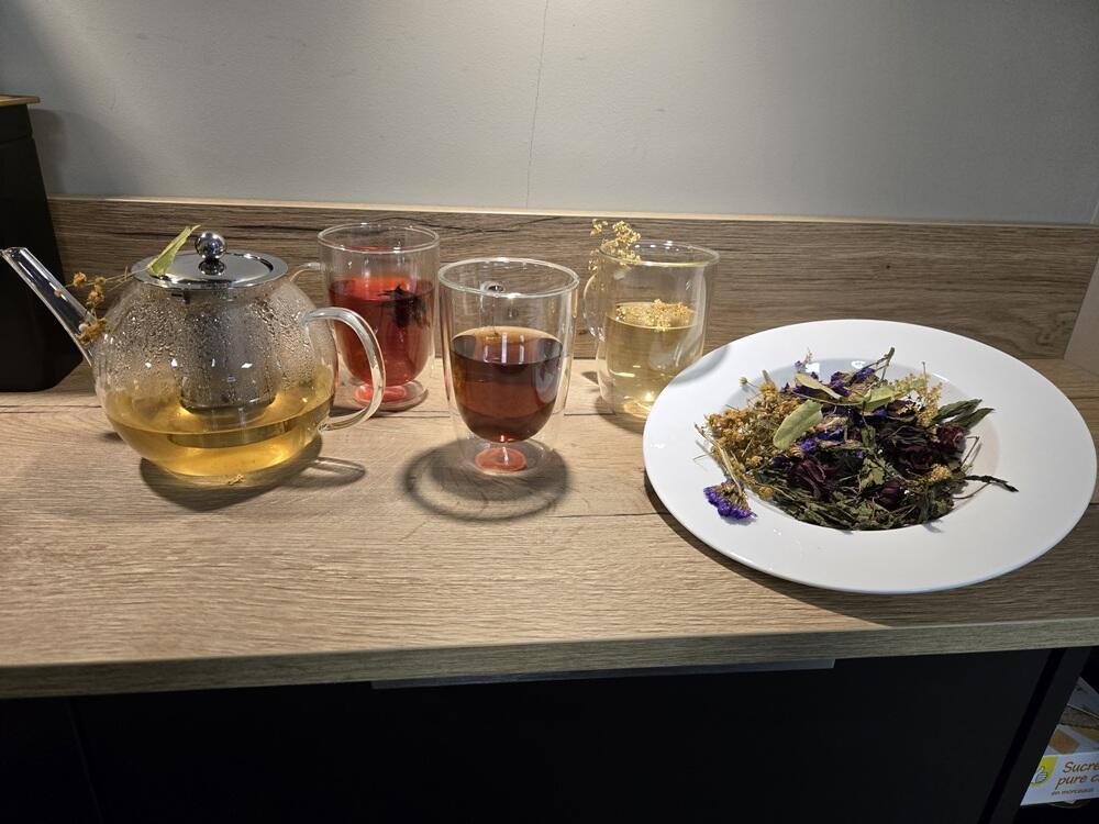 Les plantes du moulin Pitgam - Mme Coppe (1)