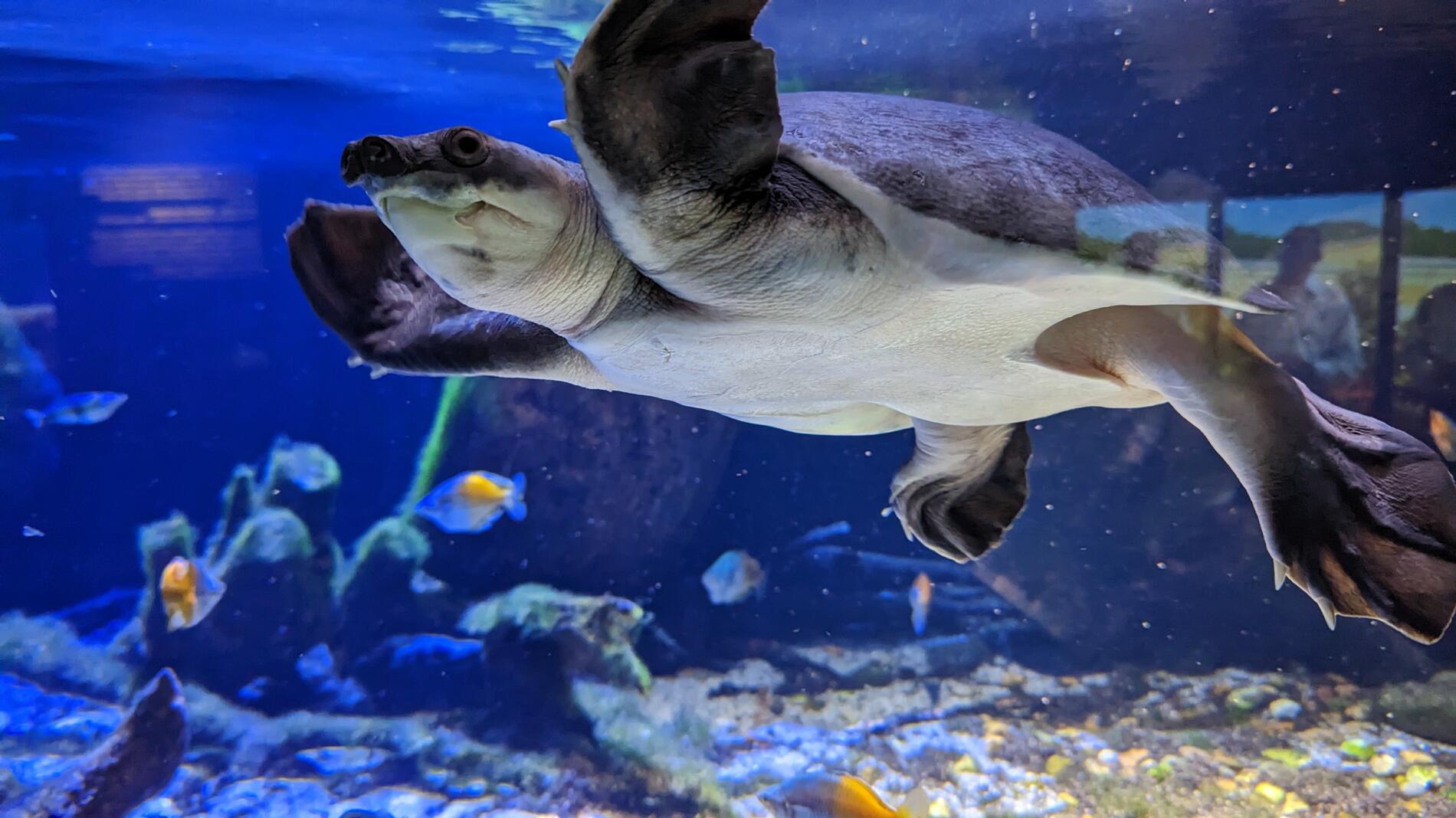 PXL_20221221_112548491