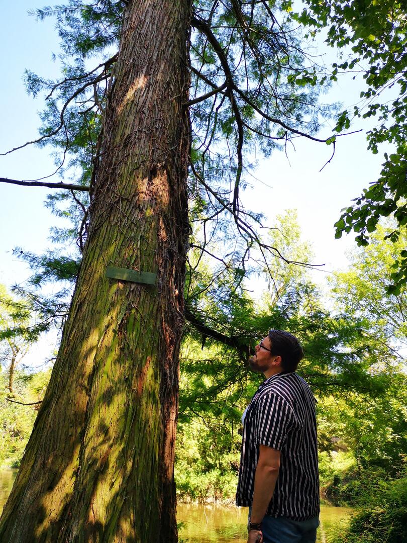Parenthèse bien-être - sophrologie - Parc Bertin - Douai - Douaisis - Nord - France (c)DouaisisTourisme