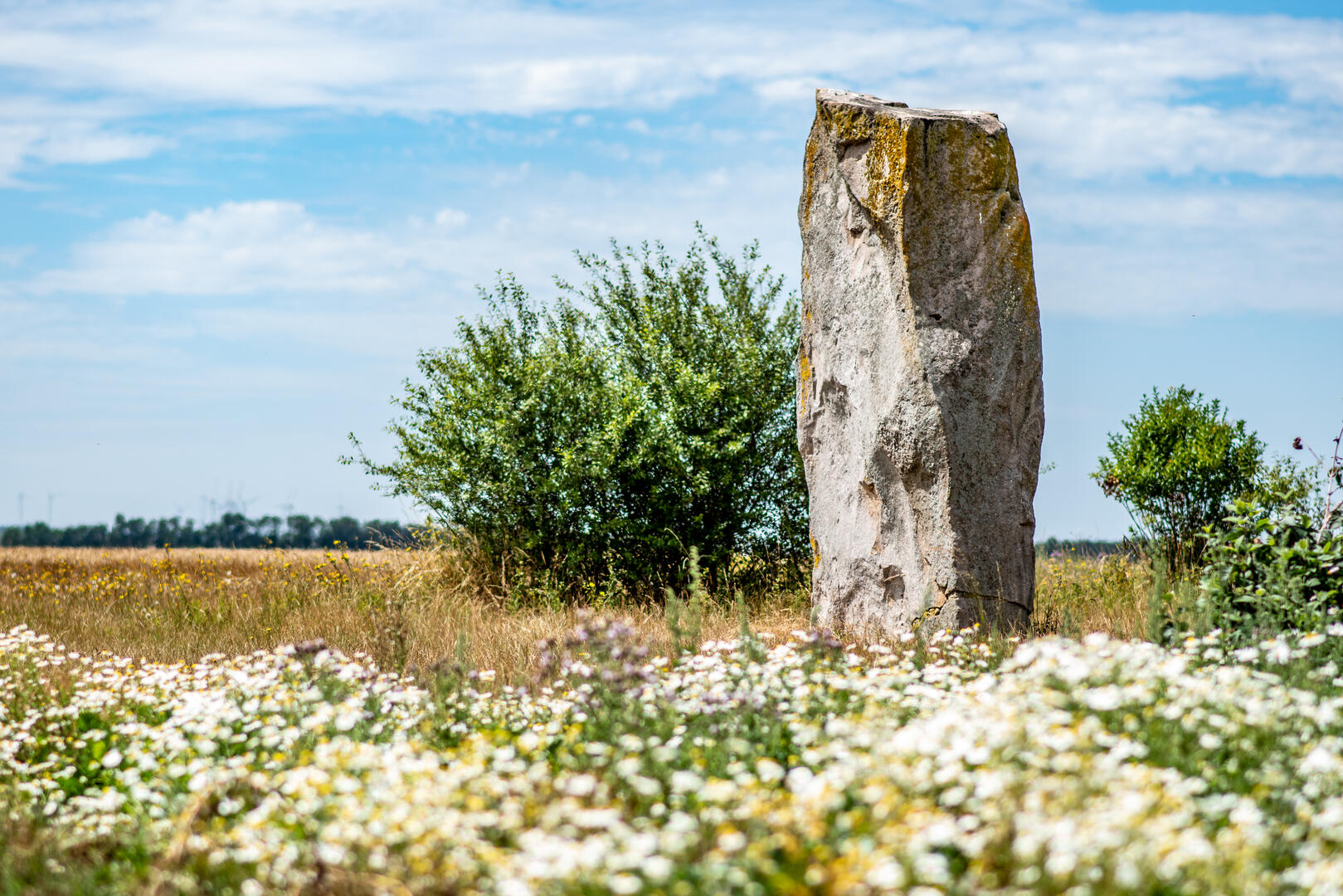 Pierre du Diable Lécluse - Menhir