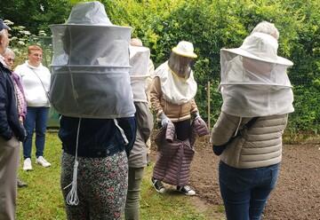 Rencontre des abeilles