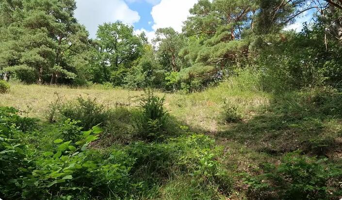 Roberval et sa belle pelouse