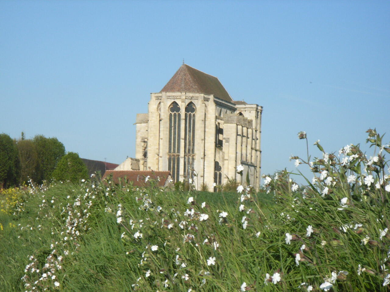 St Martin abside fleurrs