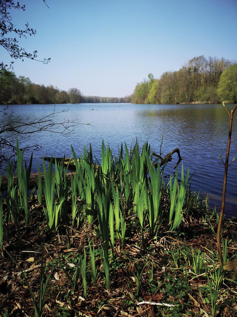 SAINT_VAAST_LES_MELLO-Etang-