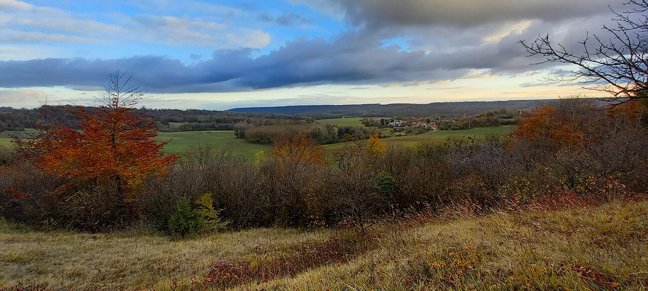 Pelouse des communaux < Chermizy-Ailles < Aisne < Hauts-de-France