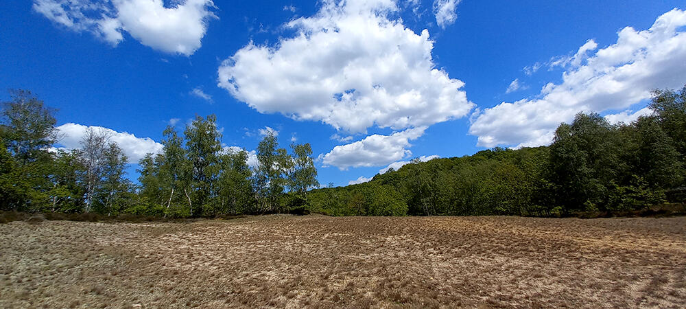 La Chambrette 2021 I < Mauregny-en-Haye < Aisne < Picardie