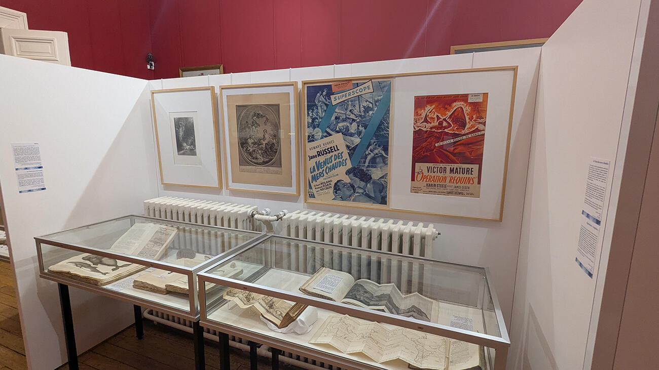 Musée art et archéologie expo Histoires d'eau IV < Laon < Aisne < Picardie