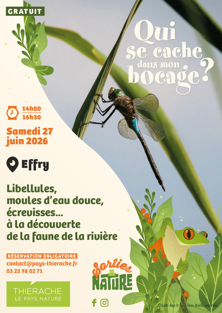 SN-EFFRY-FBK