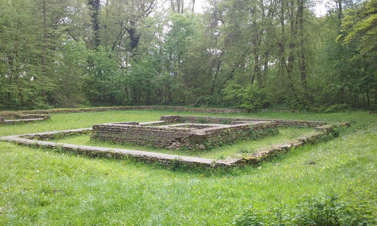 Forêt d'Halatte