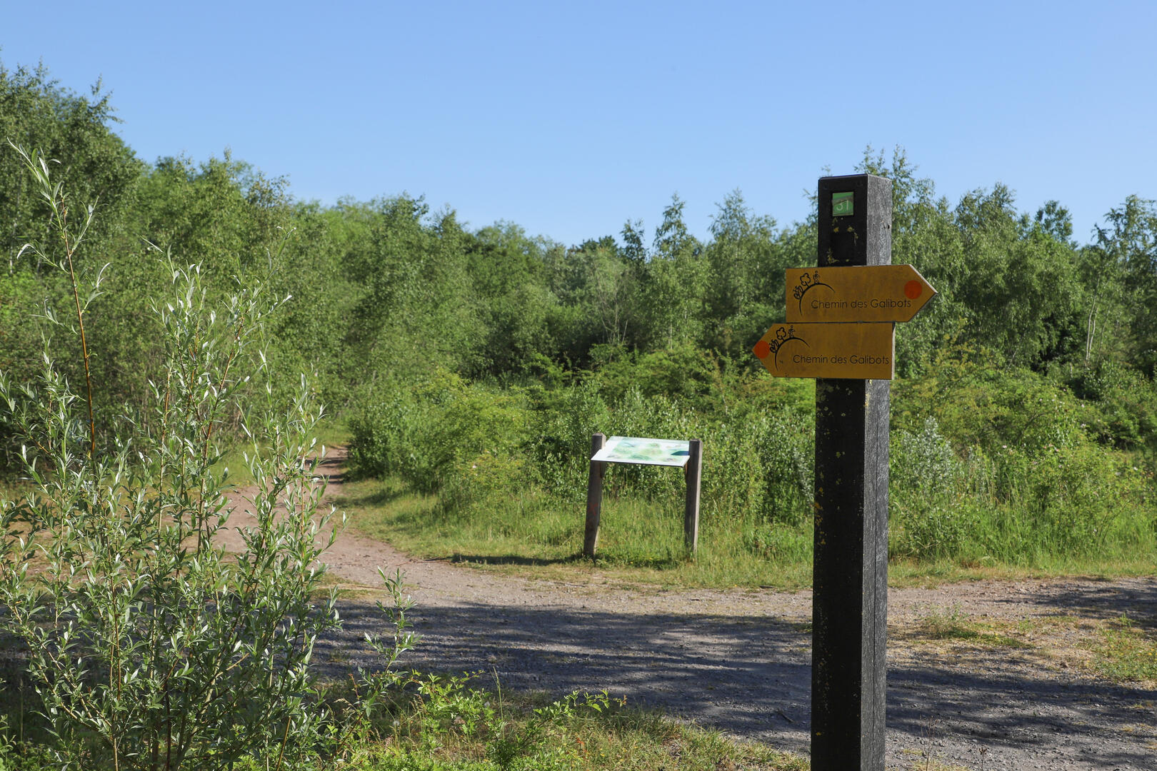 Terril Sainte-Marie Auberchicourt