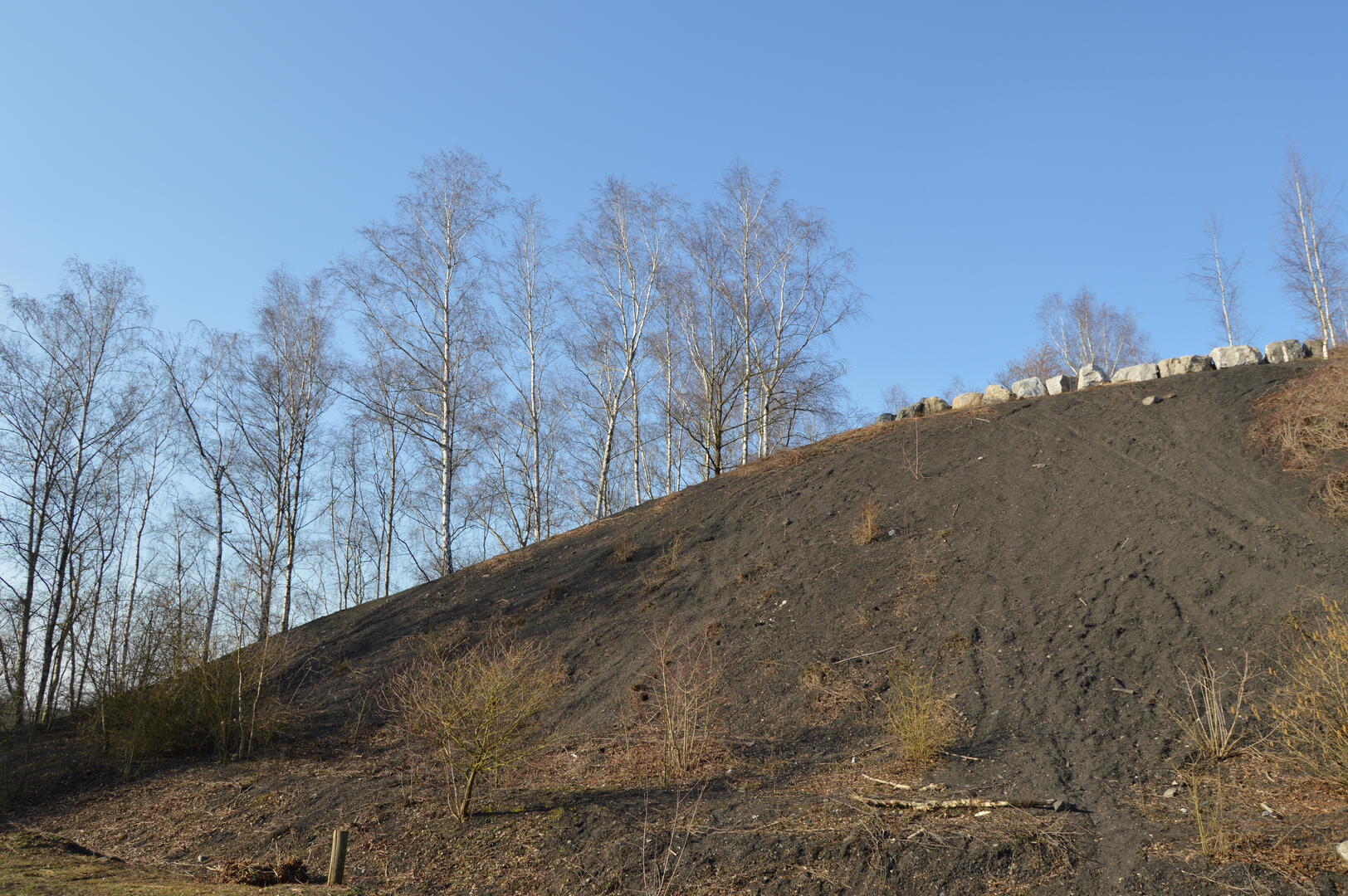 Terril de germignies