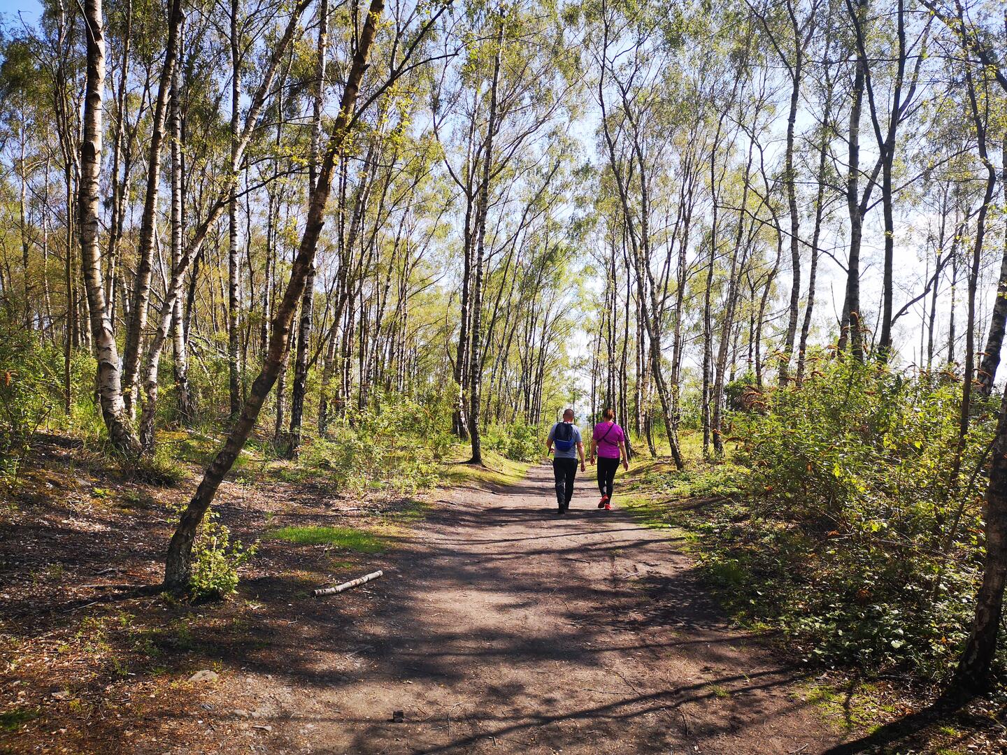 Terril de Roost-Warendin Escarpelle