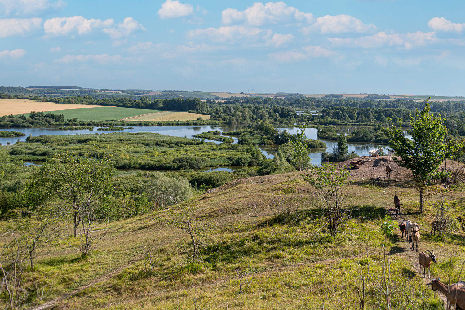 Visite littéraire