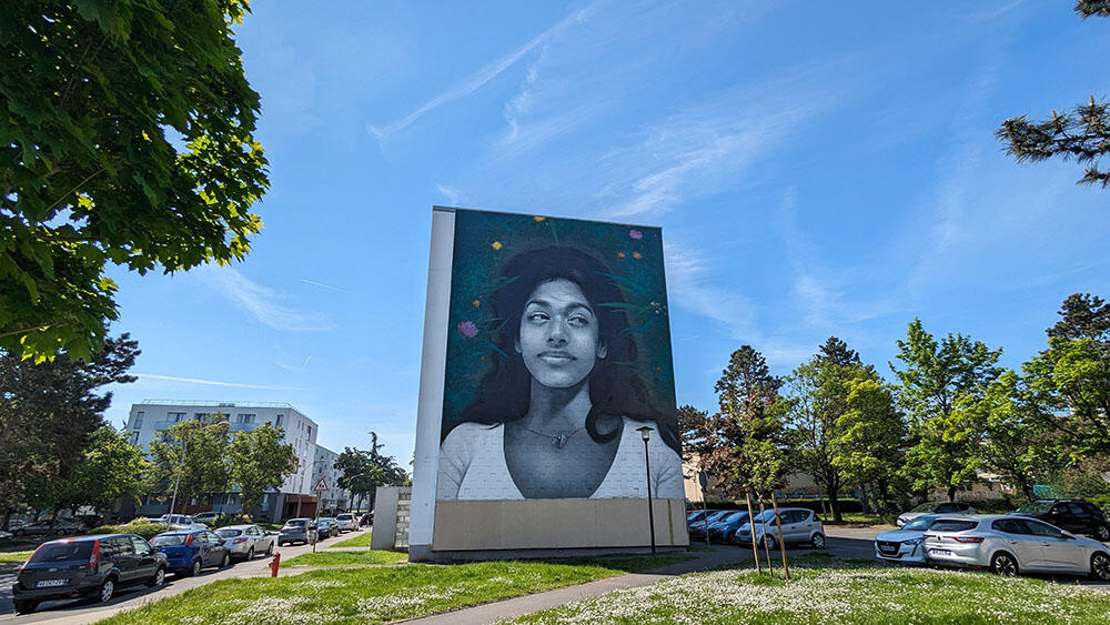 Fresque street art Zabou < Laon < Aisne < Picardie
