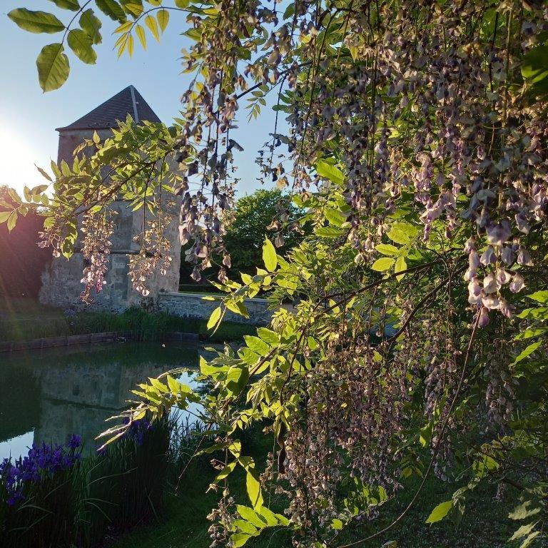 manoir_du_plessis_au_bois - 31-12-2032 - IMG_20210531_204232_057