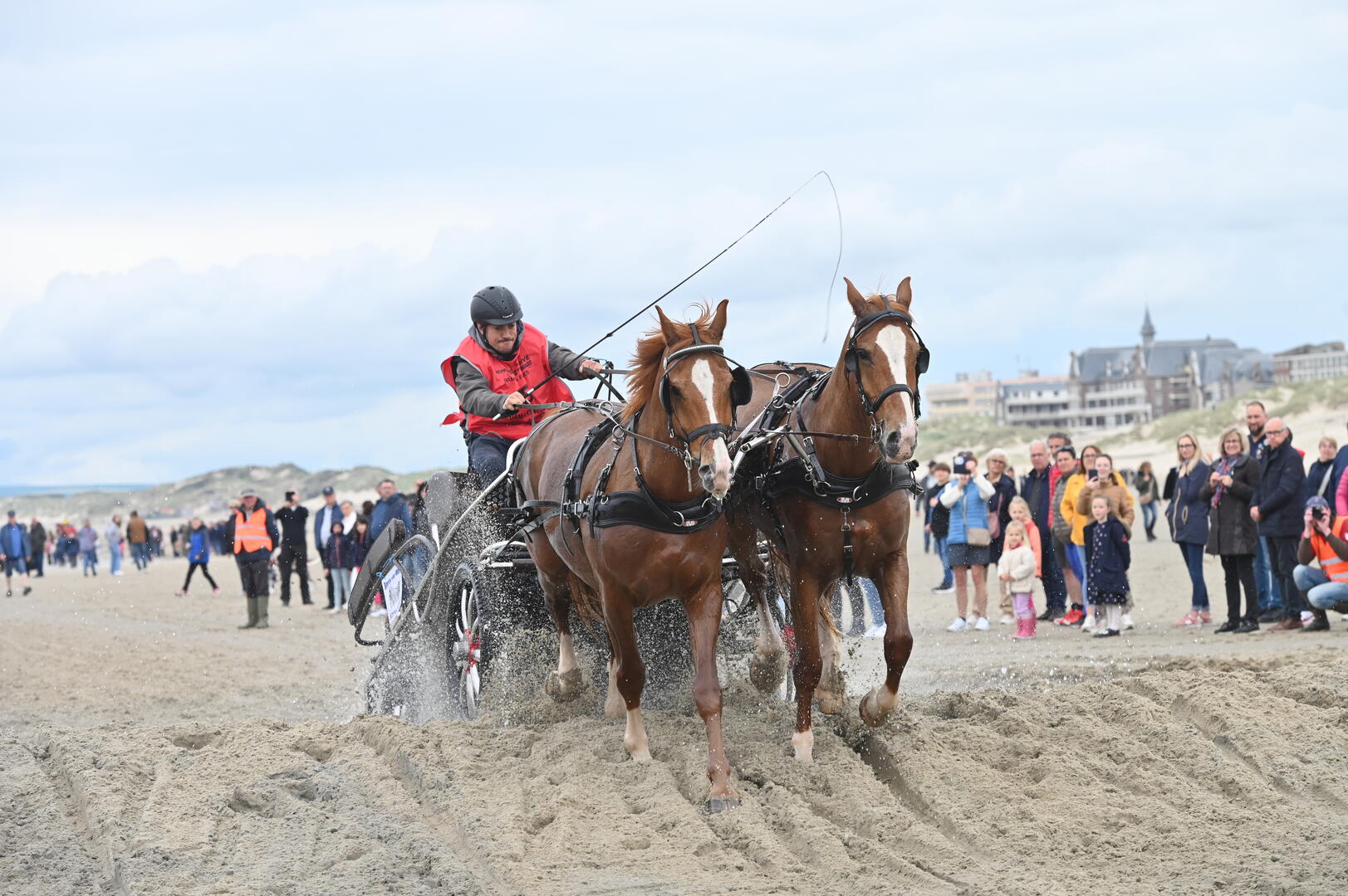 marathon-d-attelage-2024-service-communication-de-la-ville-de-berck-sur-mer-9-_1