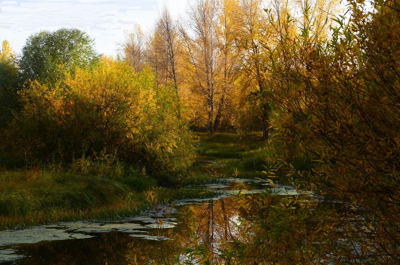 marais
