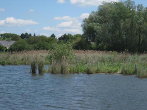 marais de la chaussée tirancourt