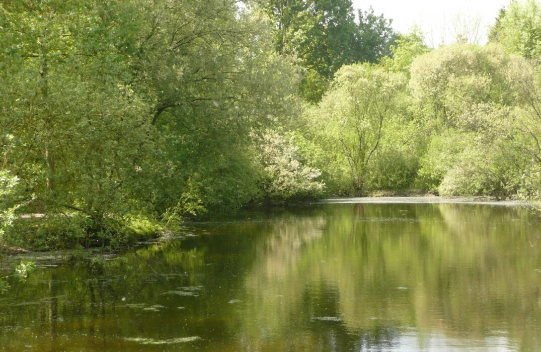 marais_de_samara_somme_picardie