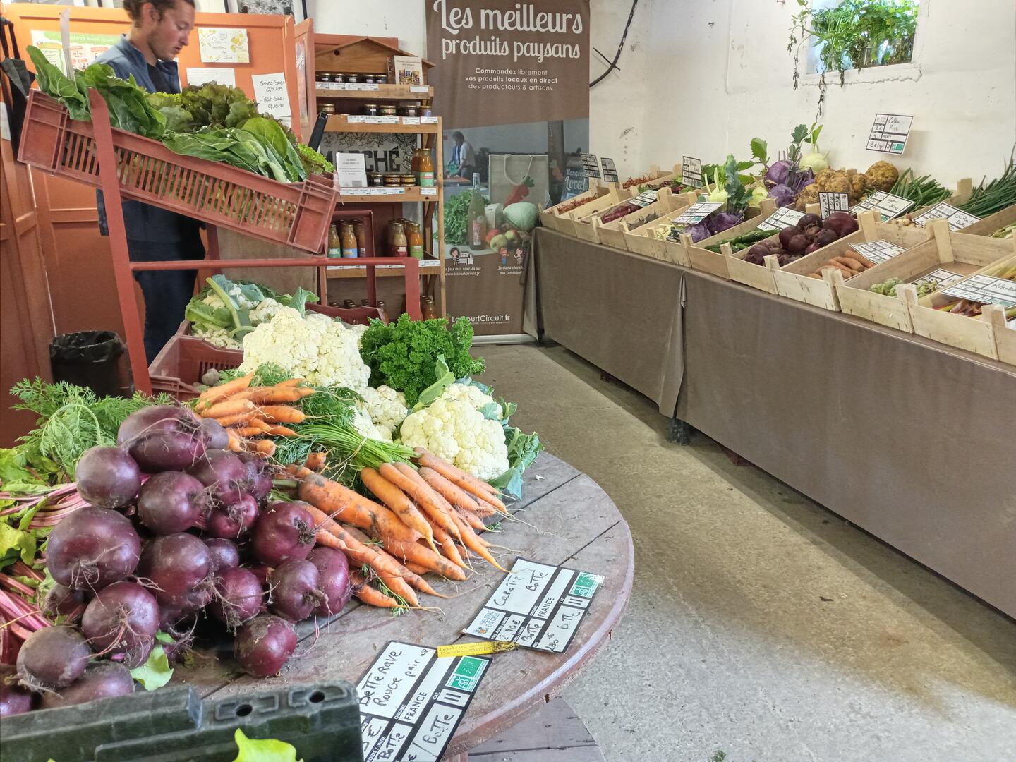 marche-de-legumes-bio-les-anges-gardins_1