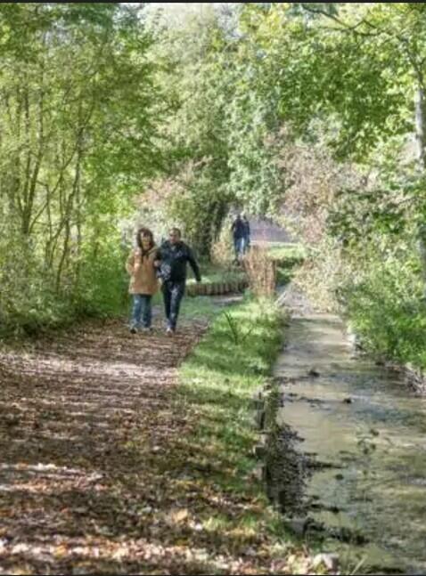 marche nature au gué de la trie