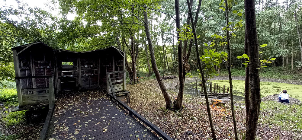 Chantier nature mare < Neuville-sur-Ailette< Aisne < Hauts-de-France