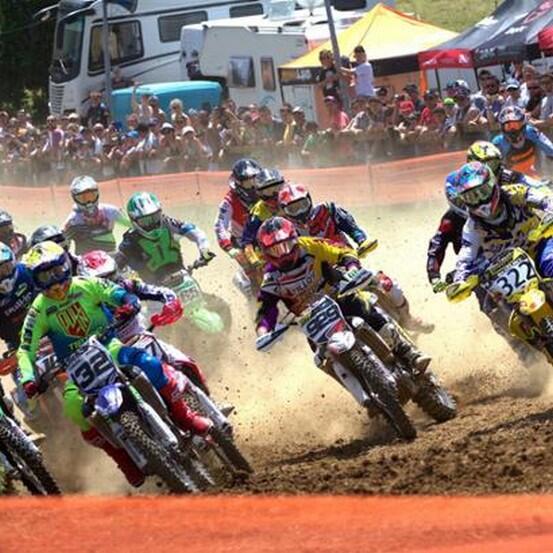 Newsletter Juillet 2019