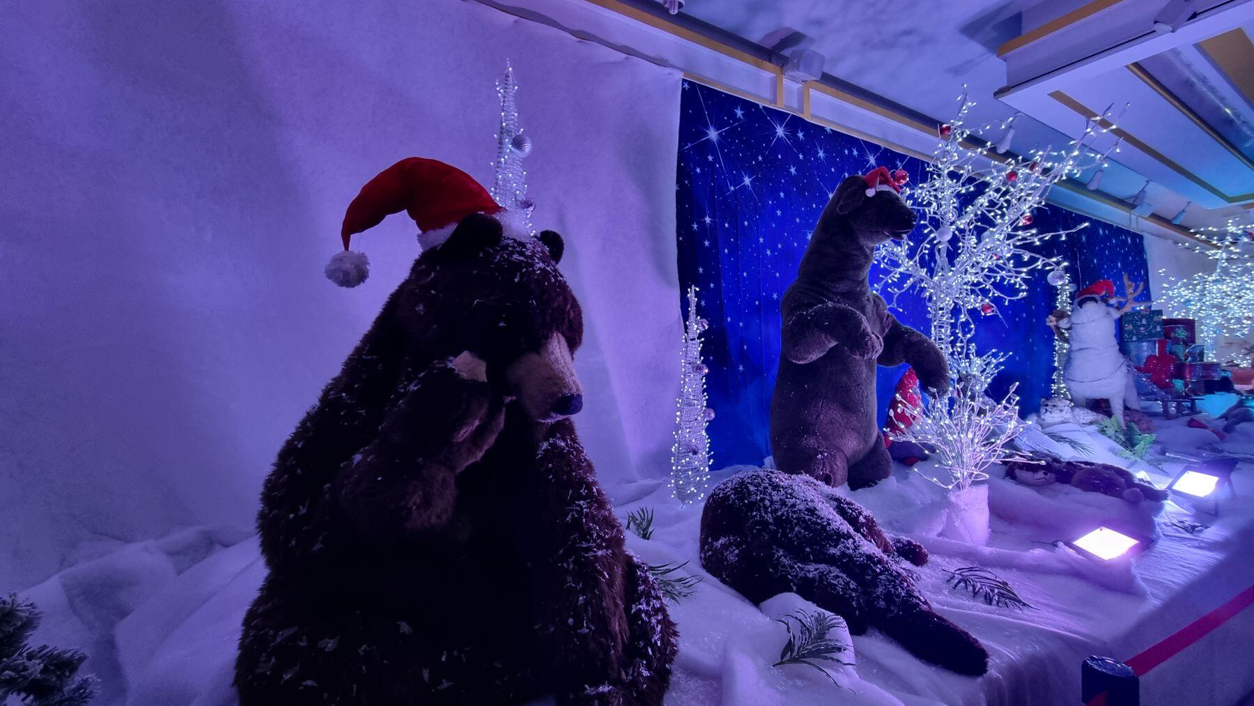 ours-de-la-foret-enchantee_1