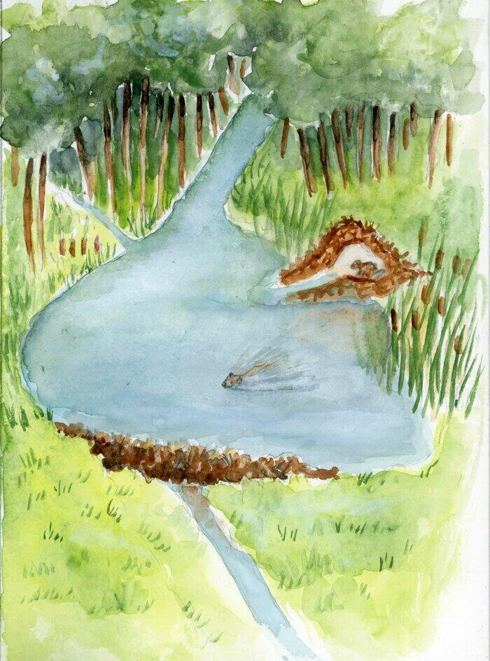 Balade naturaliste : "Branche - toi"_1