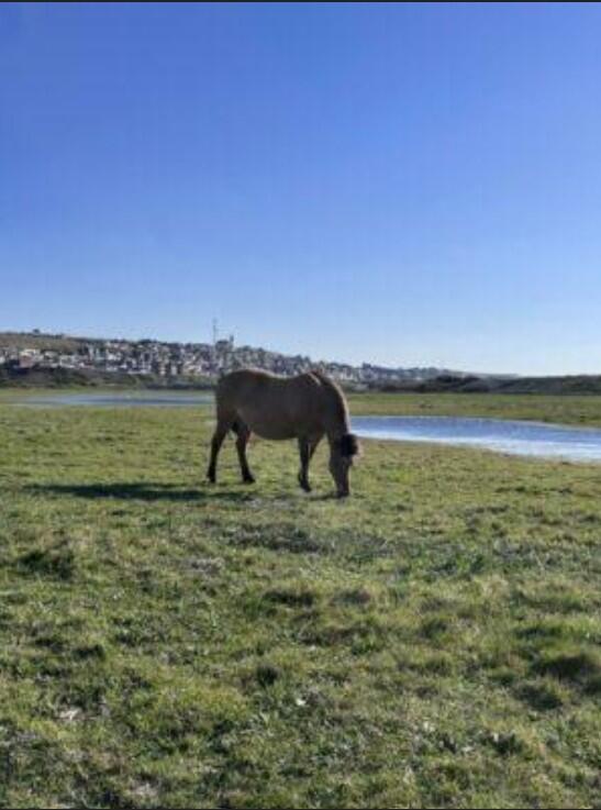 A la découverte du hable d'ault