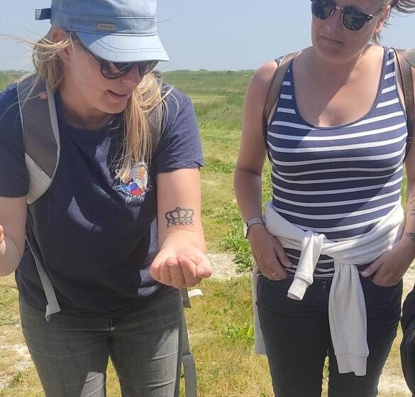 aHR0cDovL3NvbW1lLm1lZGlhLnRvdXJpbnNvZnQuZXUvdXBsb2FkL2VkdWN0b3VyLTcuanBn